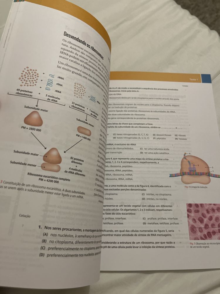 Caderno de exercicios BioGeo 11