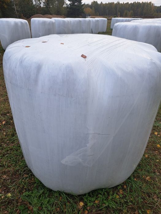 Sianokiszonka w belach 120/cena z transportem