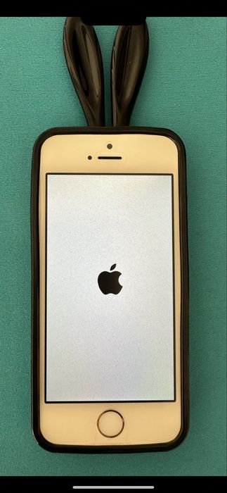 Capas protectoras para i phone 5S