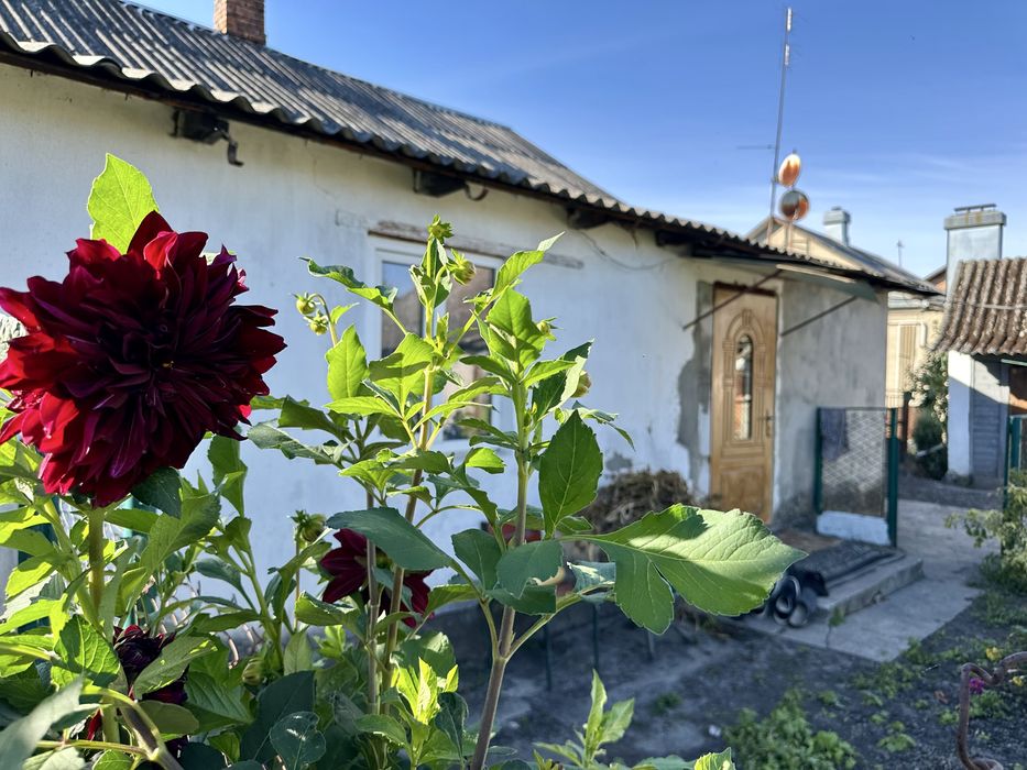 Продам будинок в м.Радивилів, центр