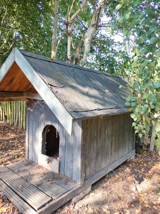 Buda dla psa duża 200x140 cm