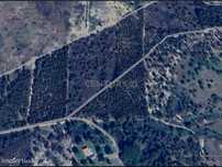 Terreno Rústico | 1,75 Hectares (17 500m2) | Santo Isidro de Pegões |