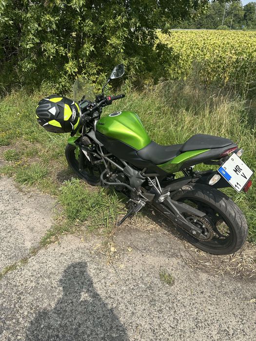Kawasaki z 250 sl 2015