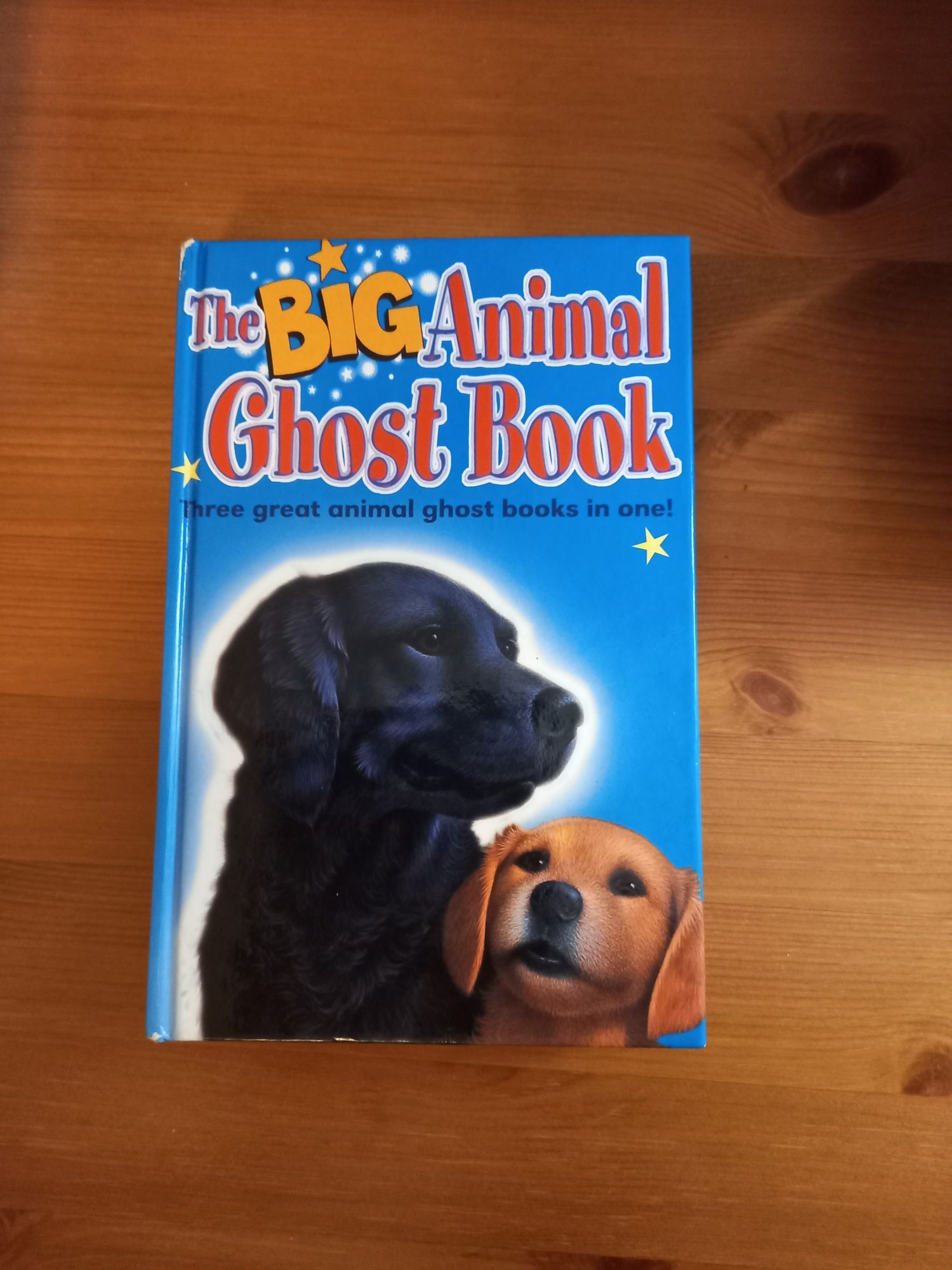 Opowiadania po angielsku, The Big Animal Ghost Book