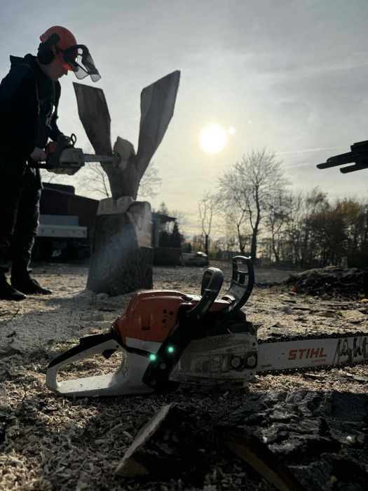 Wycinka i Pielęgnacja DRZEW