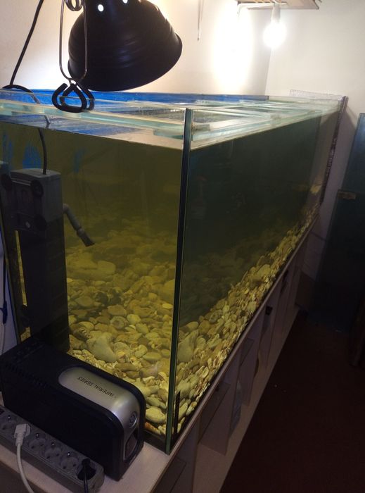 Басейн для ваших рыбок или черепахи на 650л.