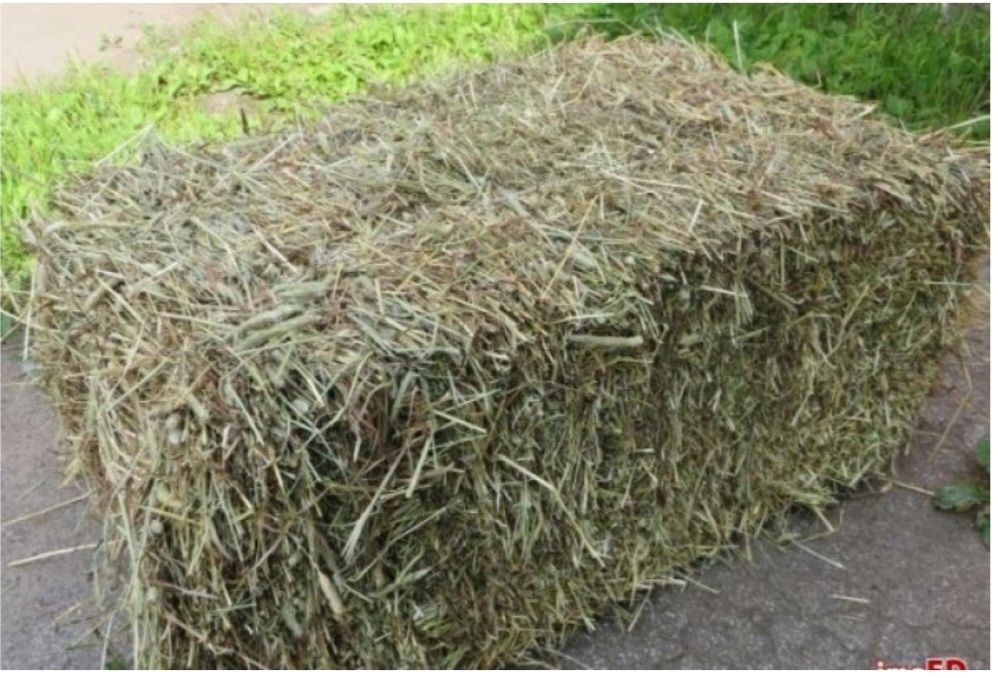 Siano w kostkach / zboża
