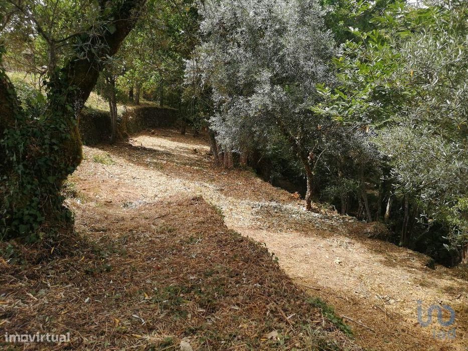 Terreno em Pedrógão Grande de 1800,00 m2
