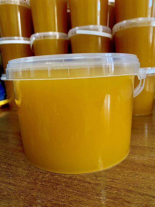 Мёд. Мед  натуральный (подсолнух). Бесплатная доставка по г.Днепр.