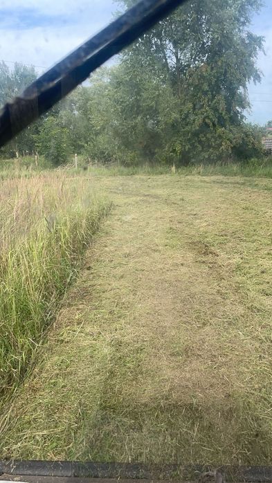 Czyszczenie działek, wycinka drzew,itp…