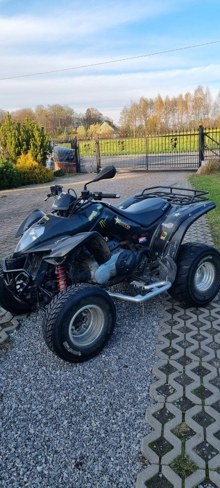 Kymco kxr 250 Super stan