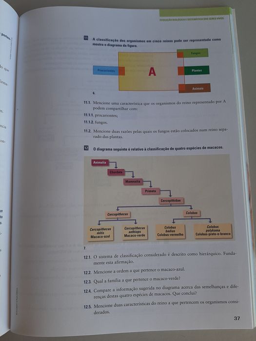 Caderno de atividades Biologia e Geologia 11 ano