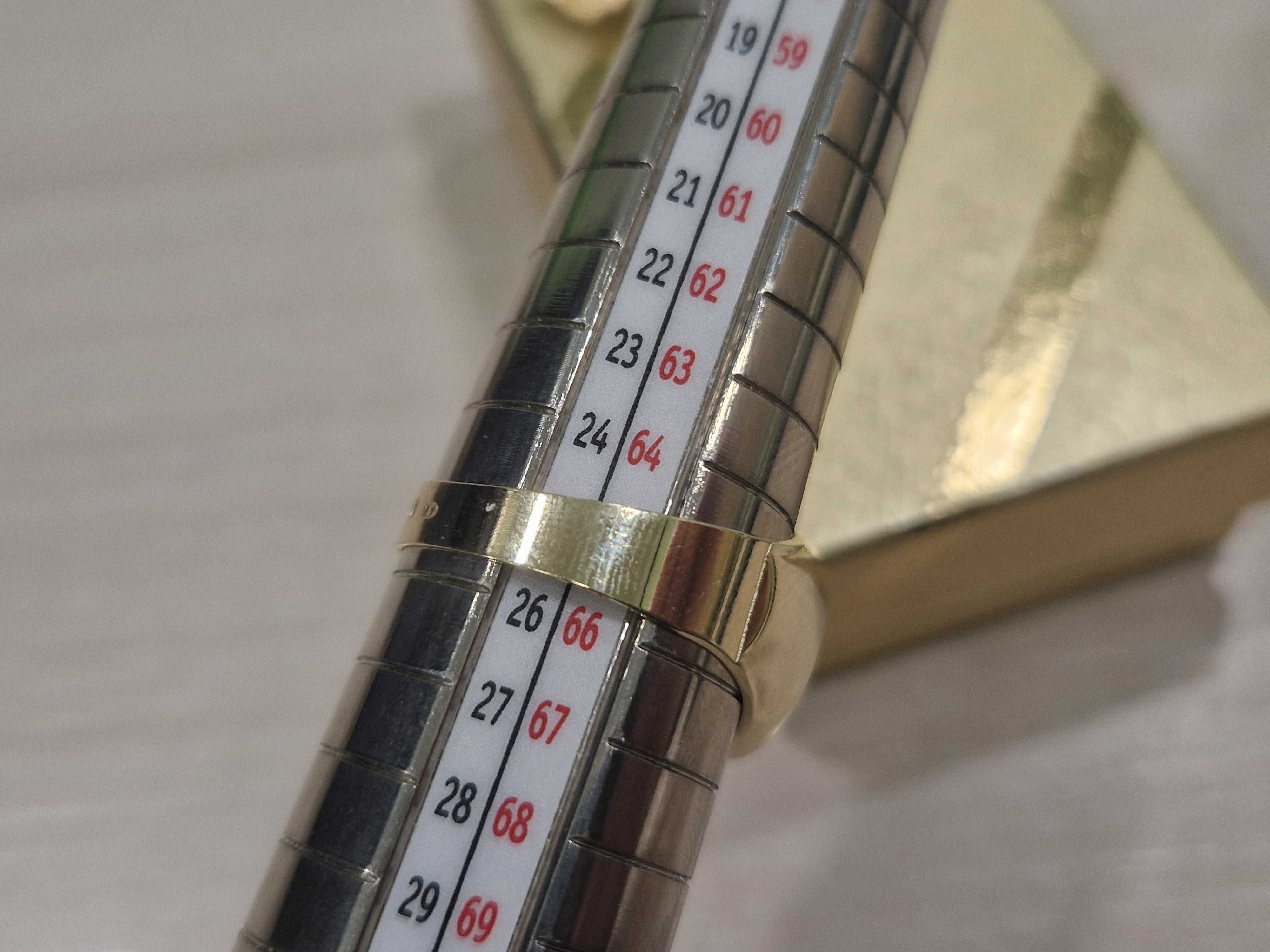 Klasyczny owalny sygnet męski z lekkim szlifem PR 585 R25