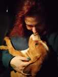 Dog Walking e Pet Sitting