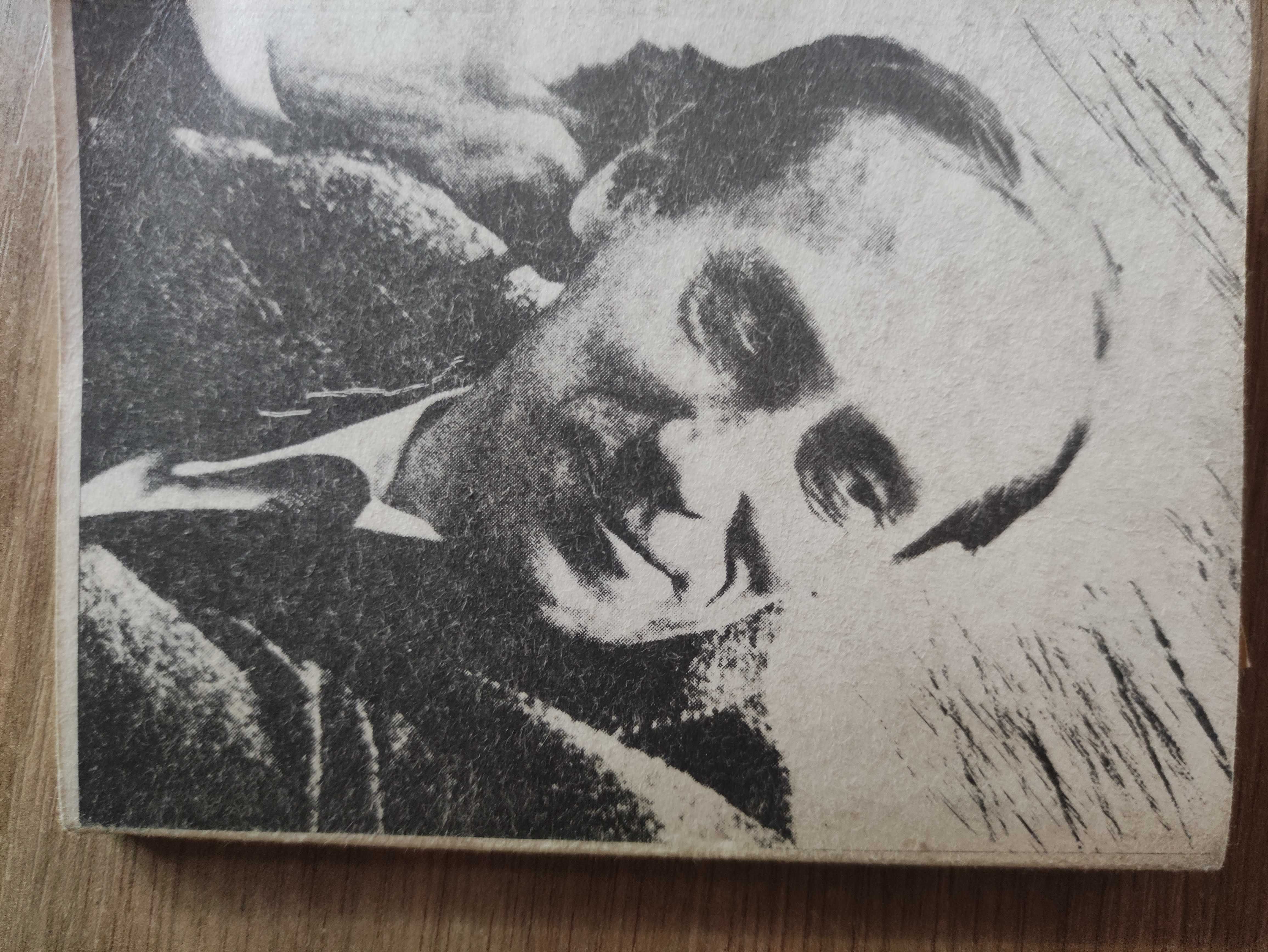 Obecność mitu - Leszek Kołakowski / II obieg / unikat!