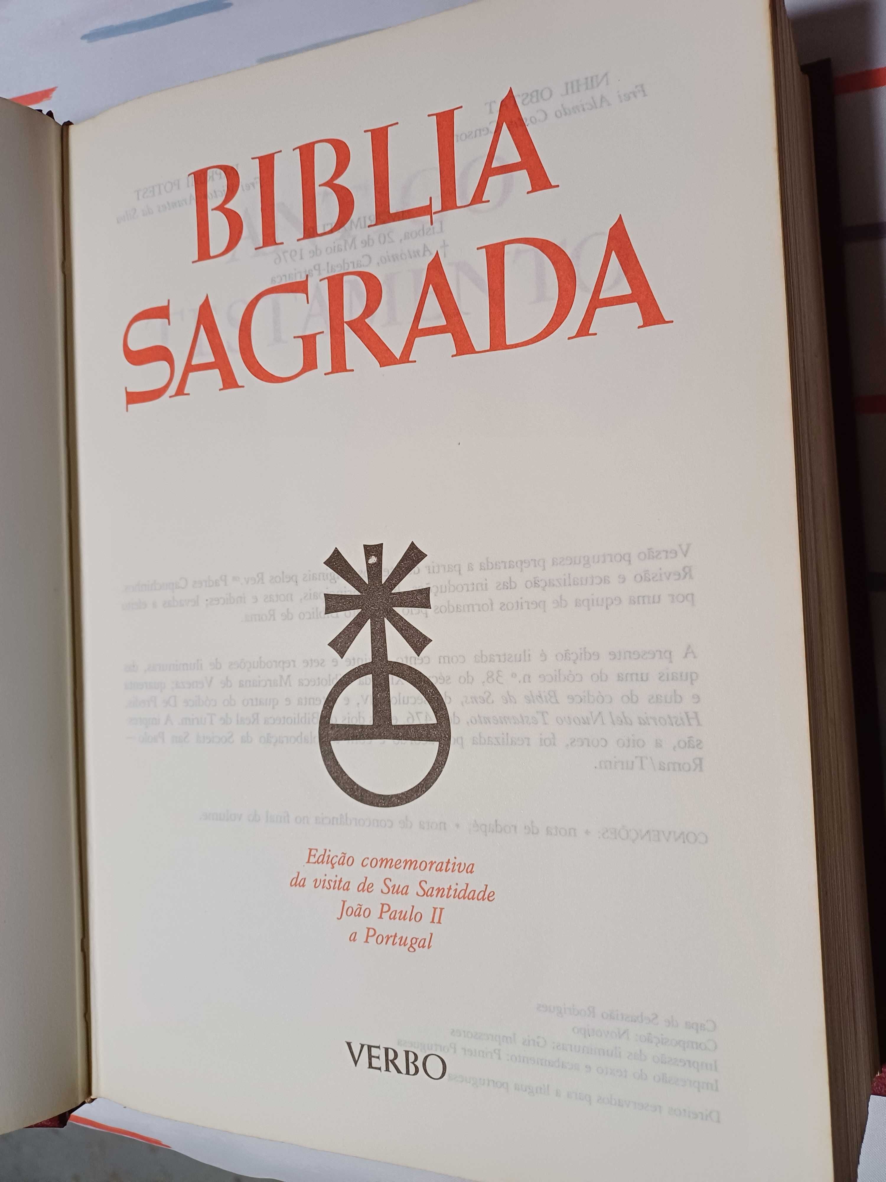 BÍBLIA Sagrada - Edição Verbo