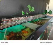 Oświetlenie LED -Akwarystyka