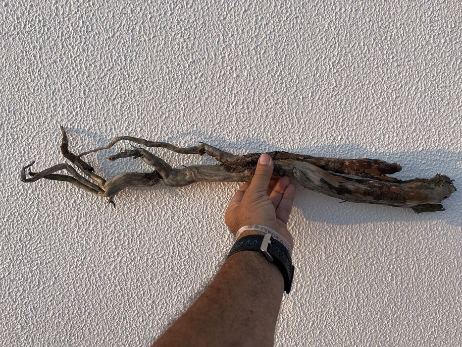 Tronco para aquario ou terrario