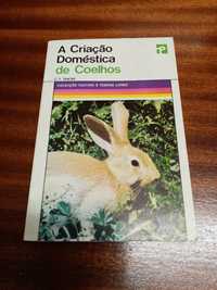 A criação doméstica de coelhos