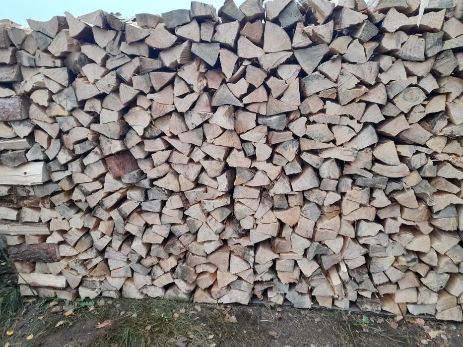 Drewno opałowe iglaste i liściaste