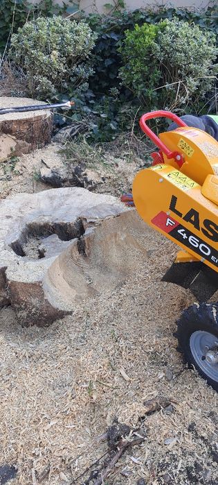 Wycinka drzew Frezowanie pni wywóz gałęzi zrębka