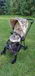 Wózek spacerowy Cybex Mios – kolekcja Flowers, beżowa tapicerka, czarn