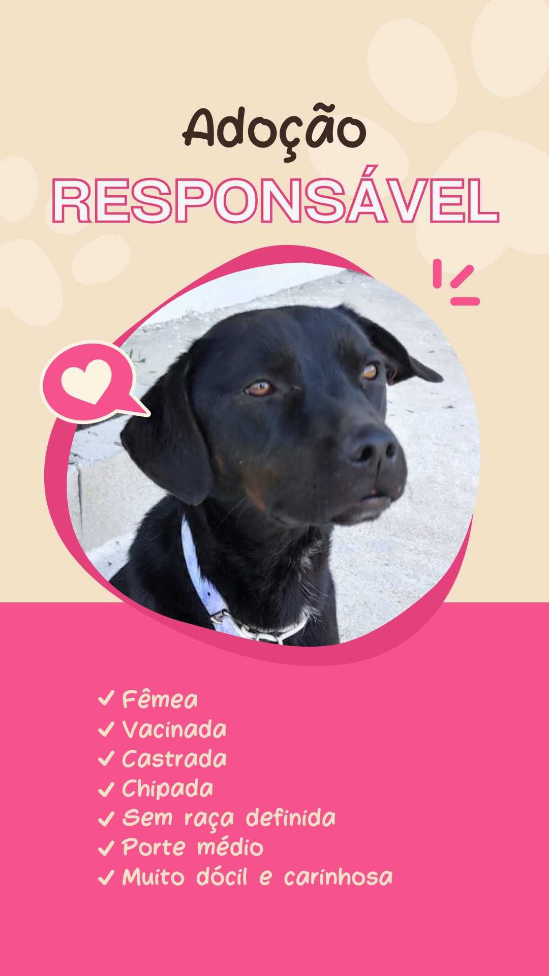 Adoção responsável