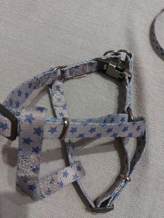 Поводок для собаки. 2в1