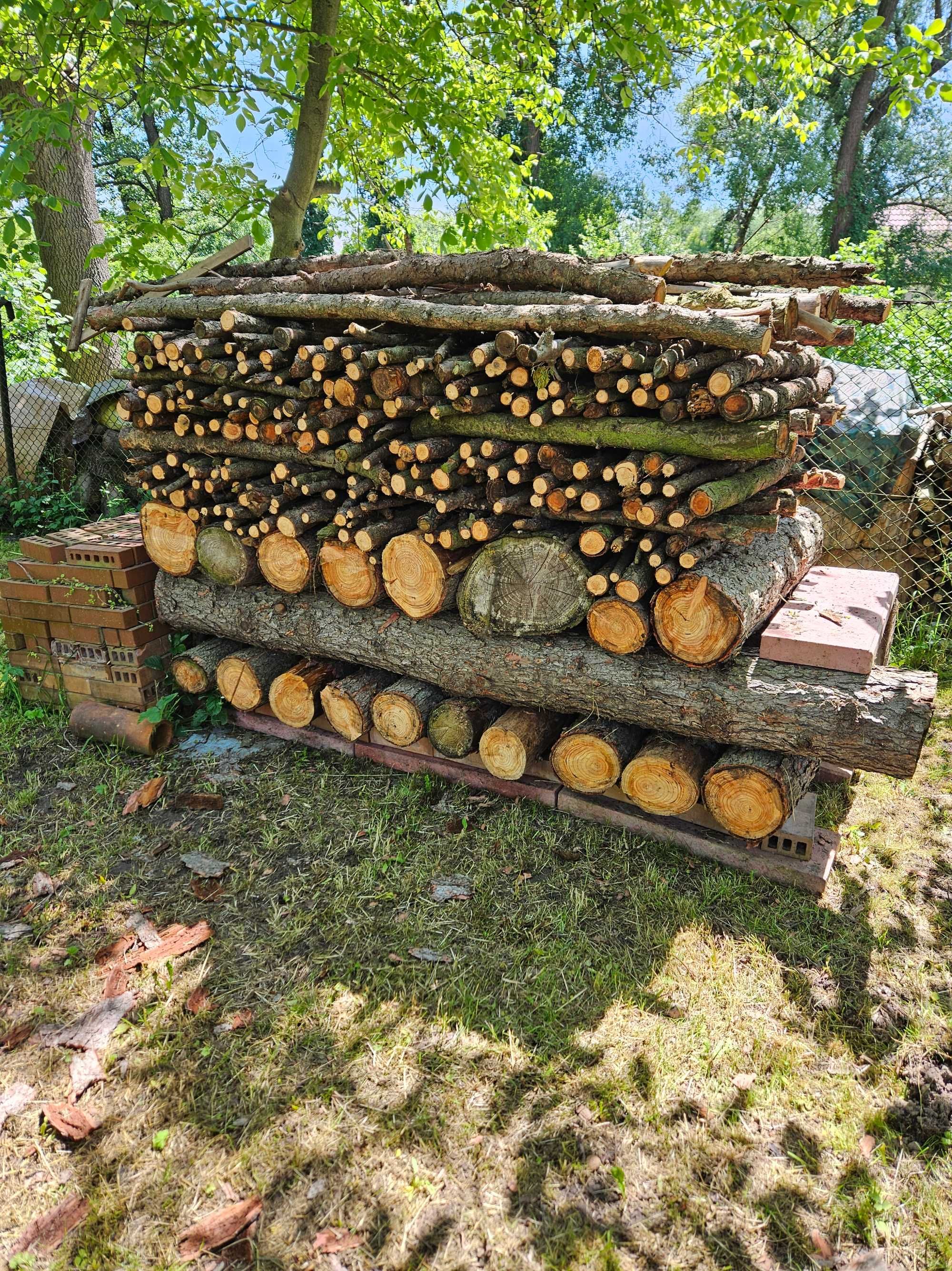 Modrzew, na opał- do tartaku?