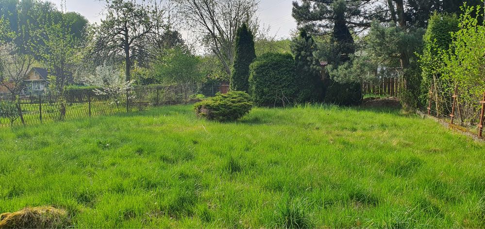 Ogródek działkowy