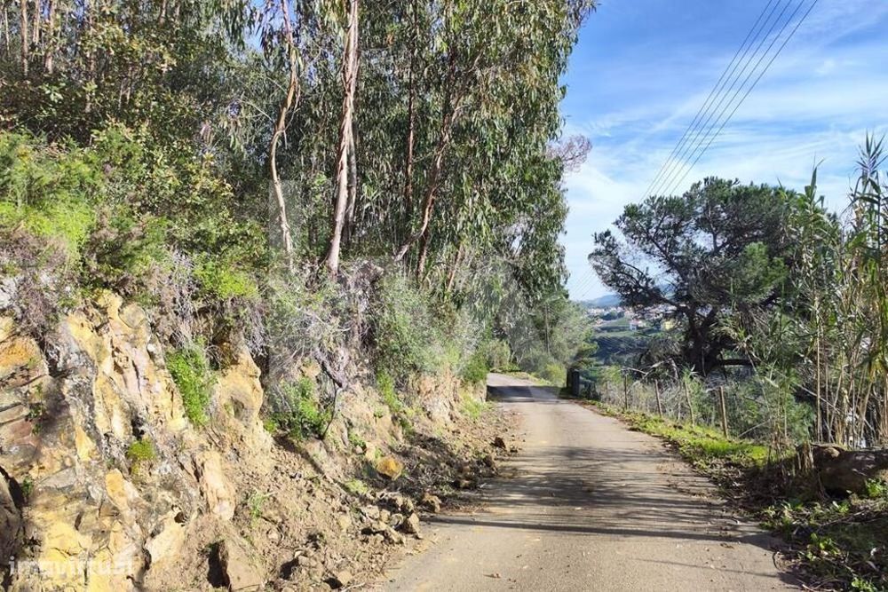 Terreno rústico florestal com vista deslumbrante