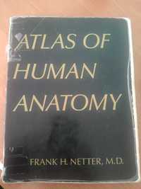 Atlas of Human Anatomy
Netter, Frank H.; 1989