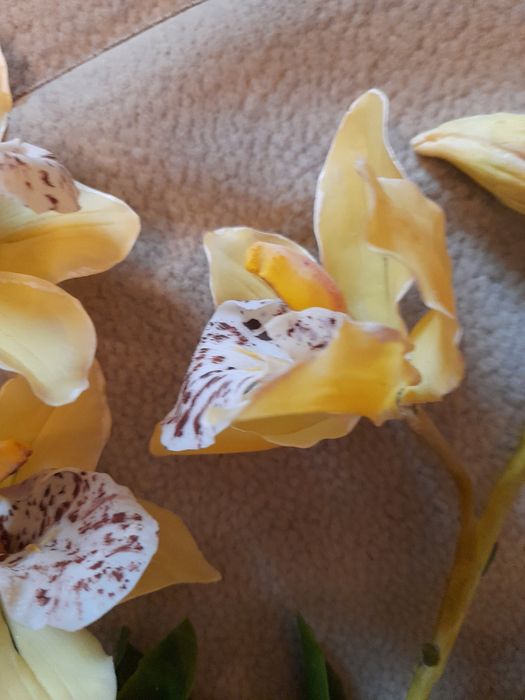 ,Реалистичные,неуведающие цветы ручной работы из холодного фарфора