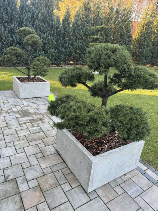 KM-TermoDonice. Donice ogrodowe na wymiar