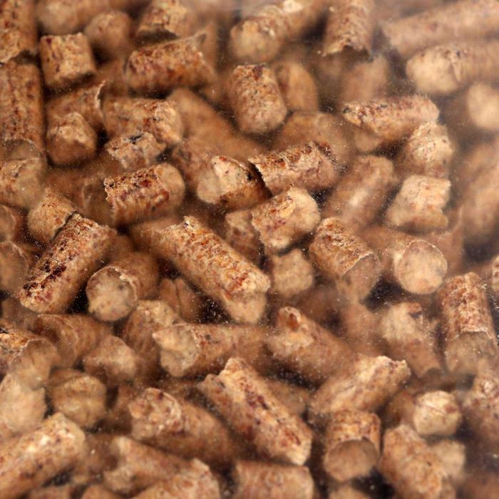 żwirek pellet dla kota z łuską gryki
