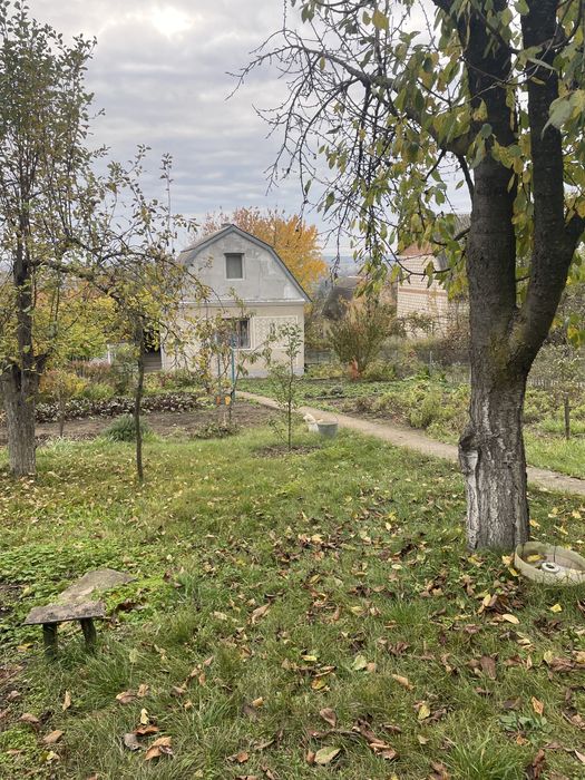 Продам дачу на березі Дністра (за с.Устя)