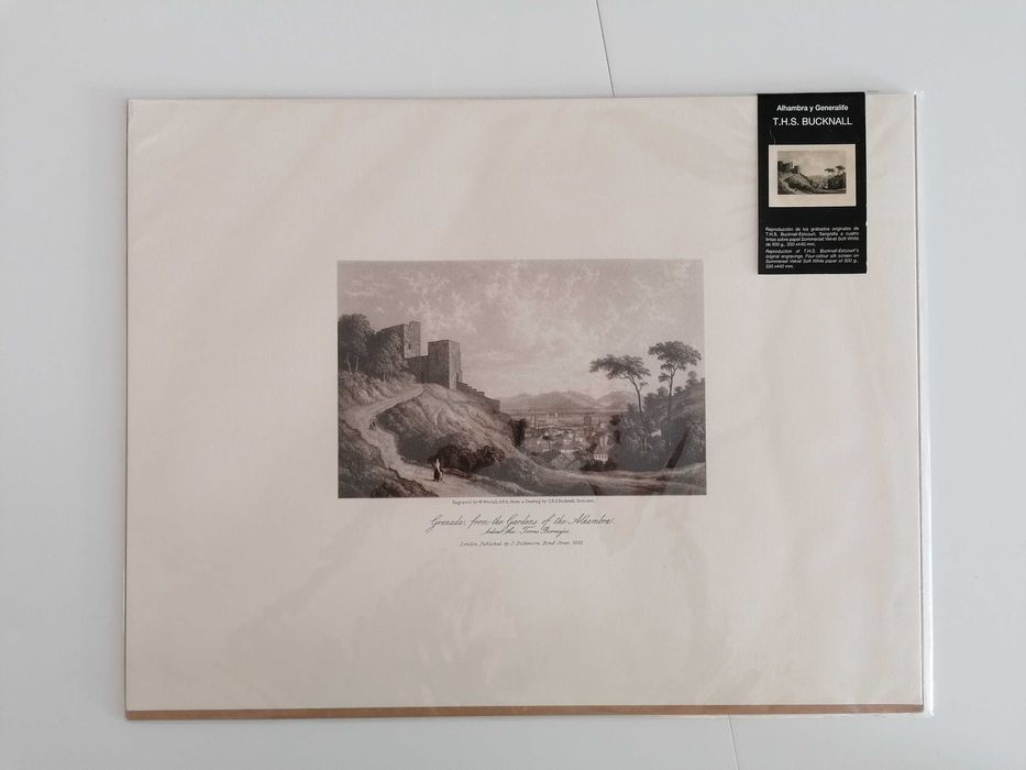 Reprodução de T. H. S. Bucknall da Alhambra