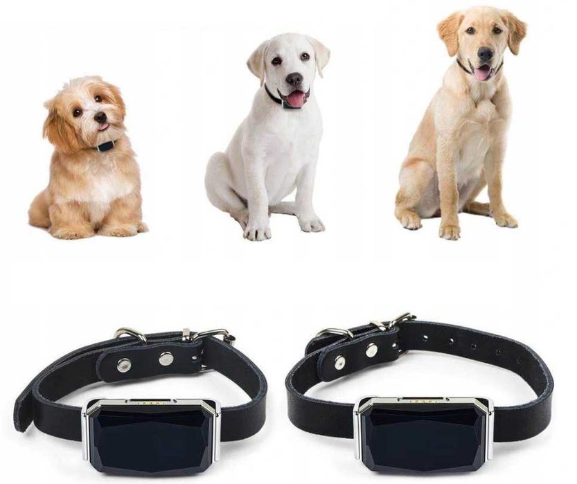 Nowy LOKALIZATOR GPS Obroża Dla Kota Psa Polska Aplikacja (PROMOCJA)