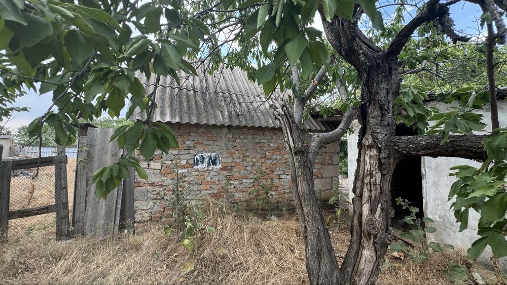 Продам будинок з ділянкою 17,5 соток у с. Миролюбово (Грейгове)