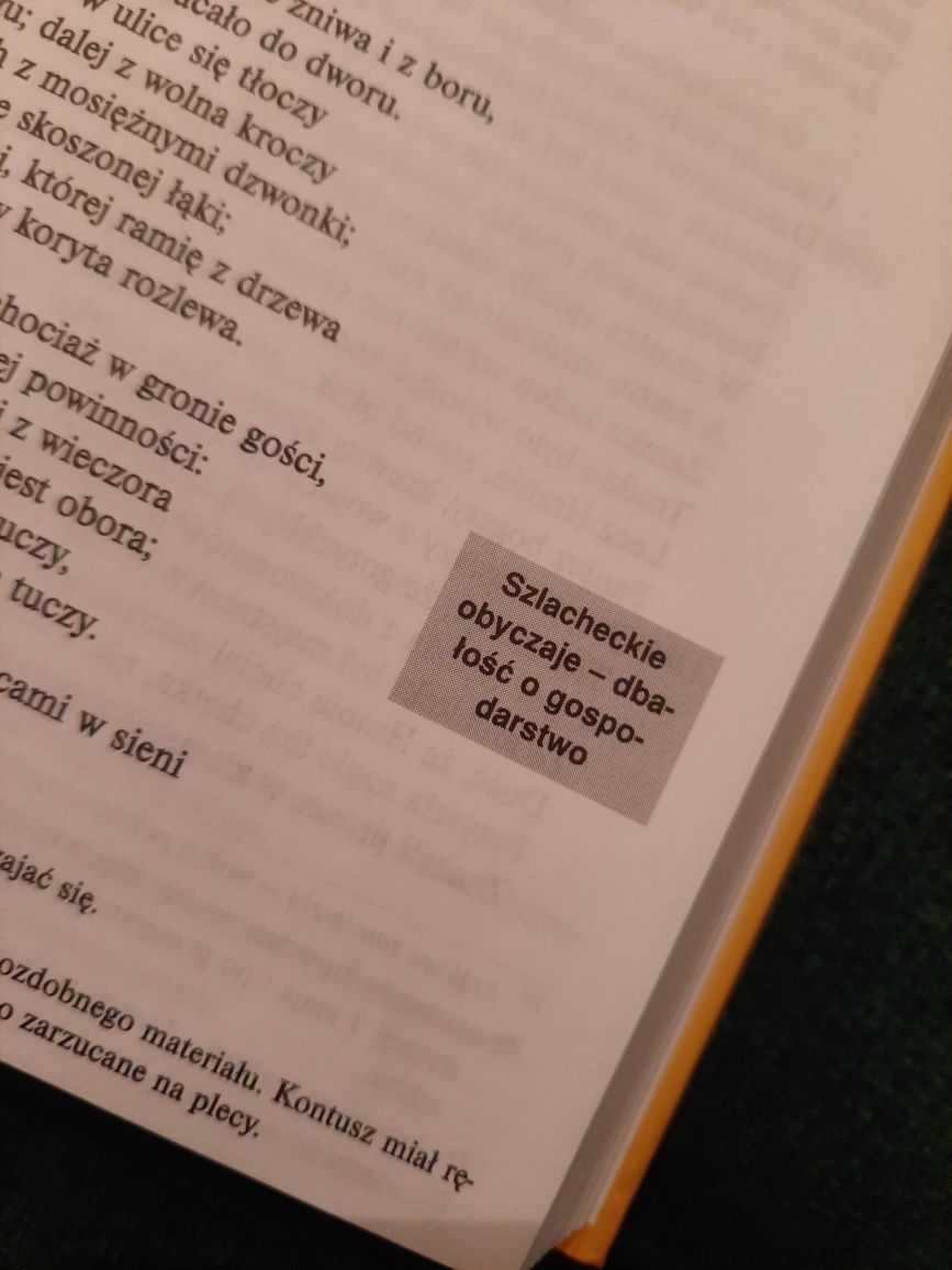 Pan Tadeusz,  z opracowaniem