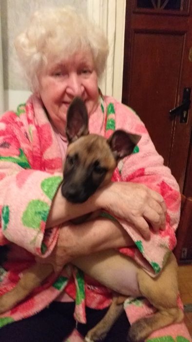 Нужен корм для животных