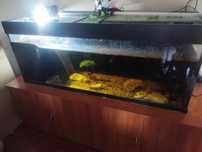 Vendo aquário para tartarugas