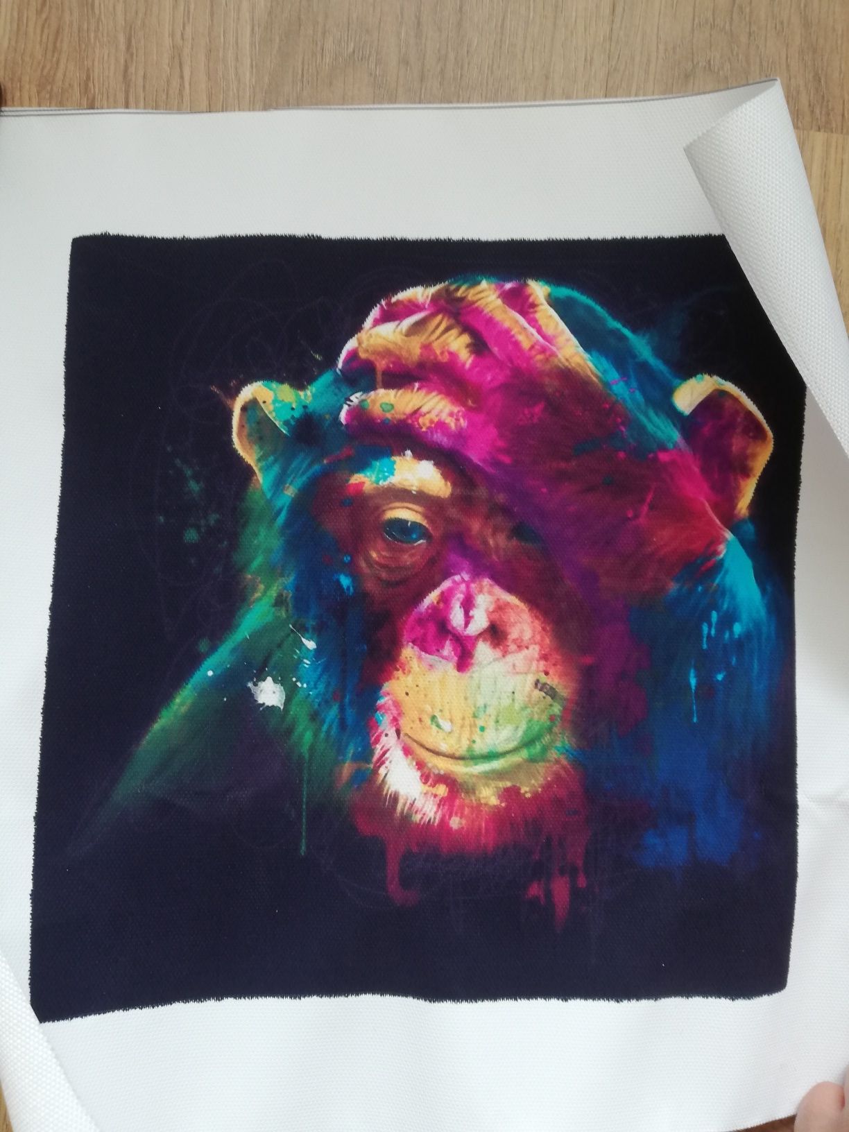 Obraz obrazek na ścianę kolorowa małpa face palm szympans małpka