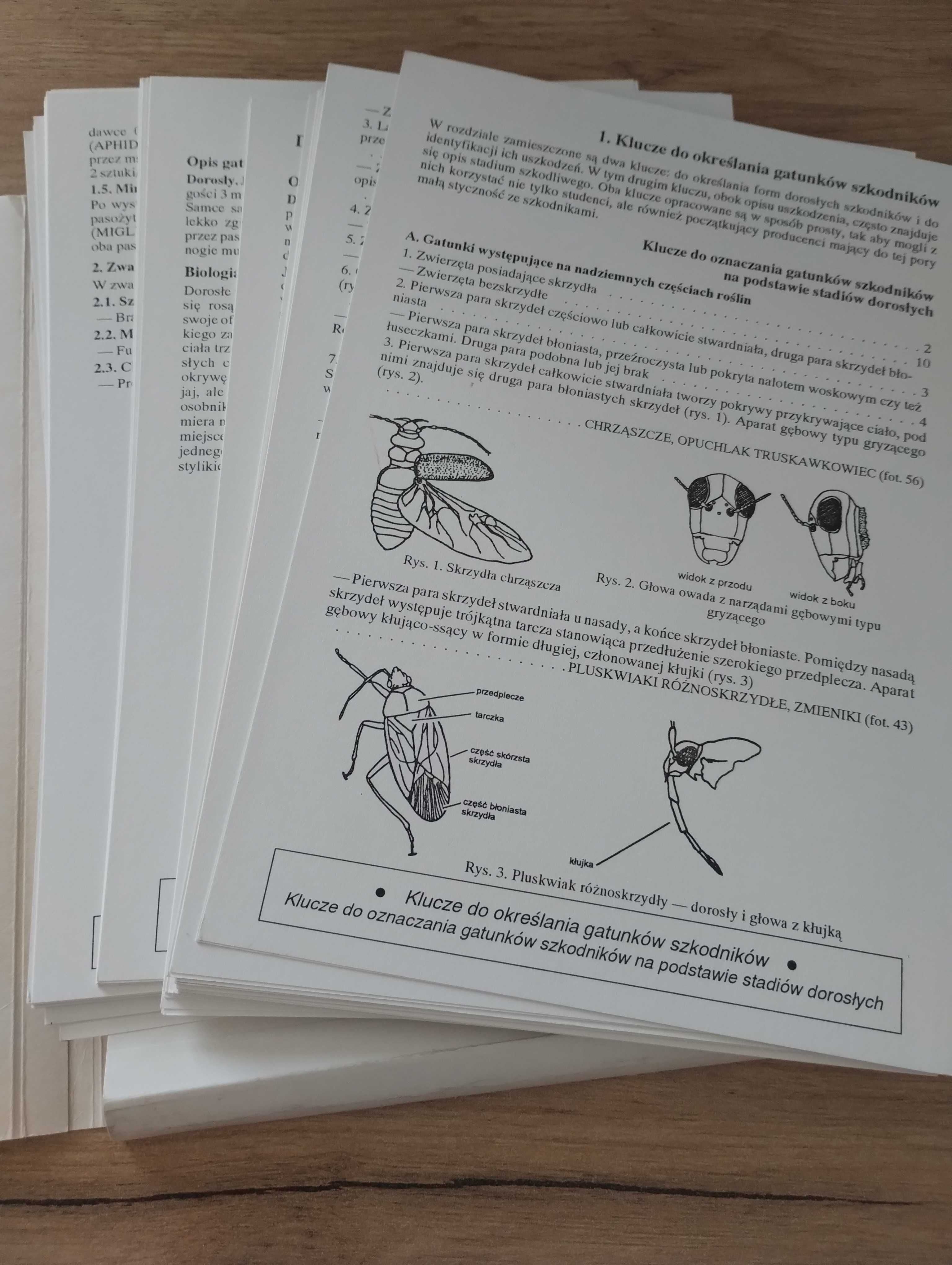 Integrowane metody zwalczania szkodników i chorób w uprawach pod