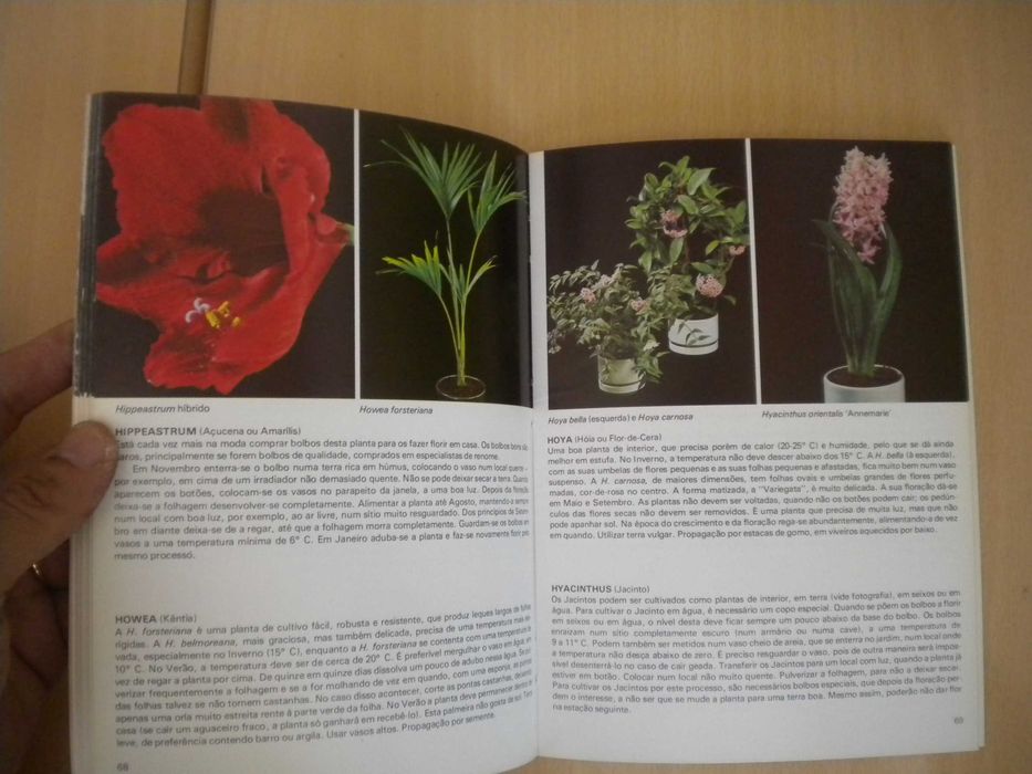 Plantas de Interior
de Rob Herwig