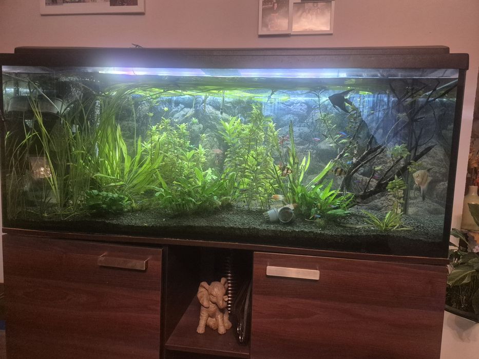 Akwarium  z wyposażeniem 500l