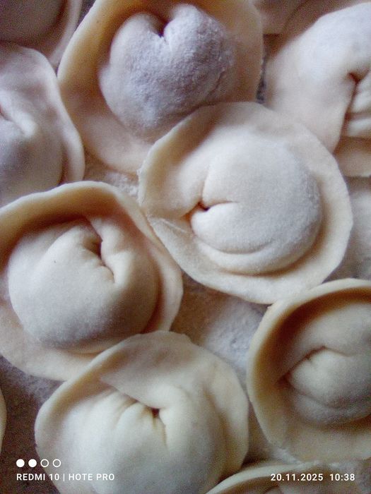 Домашні пільмені