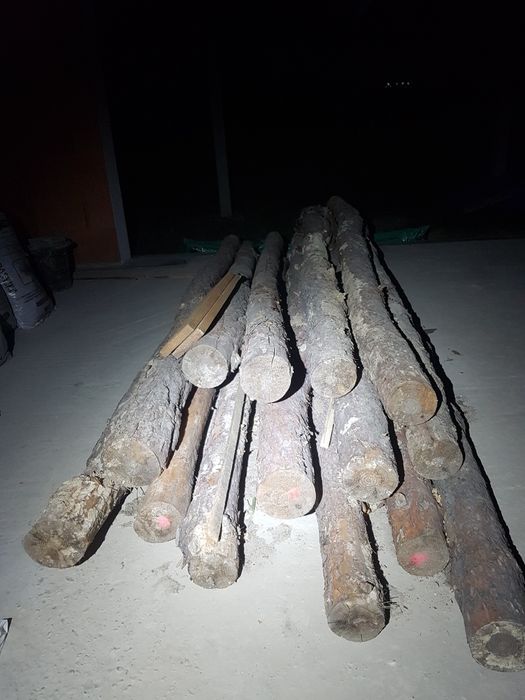 Stemple budowlane, podpory, pale ogrodzeniowe, o dlugości 2,8m 16 szt
