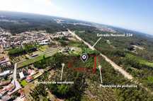 Terreno | 4.160m2 | Cantanhede | Oportunidade |