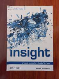Insight 10º ano - Caderno de atividades